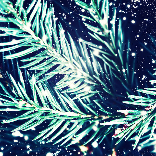 istock Christmas fir tree with snowflakes may use as background 493214404