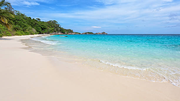 istock Beach in summer of Thailand 493215438