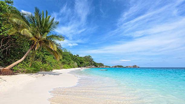 istock Beach in summer of Thailand 493215614