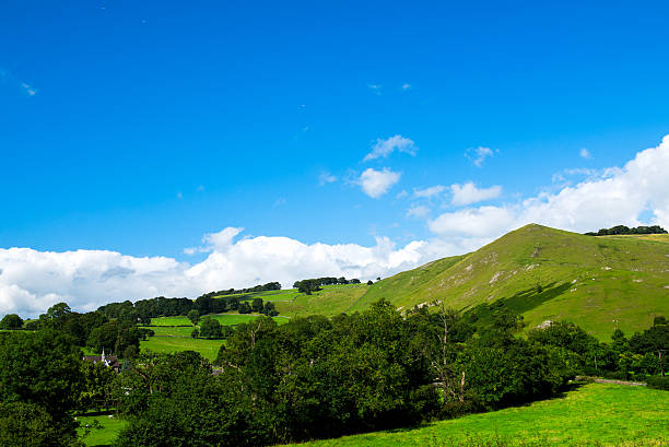 istock Green Meadows and Trees in Beautiful Ilam Hall 493216318