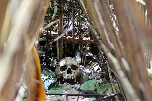 Cemitério de Trunyan: Espreitar através do bambu - fotografia de stock