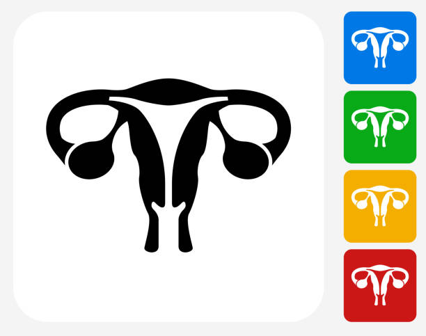 bildbanksillustrationer, clip art samt tecknat material och ikoner med female reproductive system icon flat graphic design - äggledare illustrationer