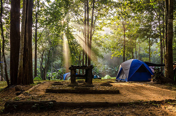 Natural morning light stock photo