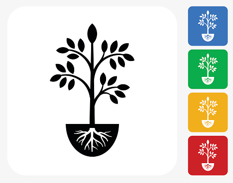 Plants Icon. This 100% royalty free vector illustration features the main icon pictured in black inside a white square. The alternative color options in blue, green, yellow and red are on the right of the icon and are arranged in a vertical column.
