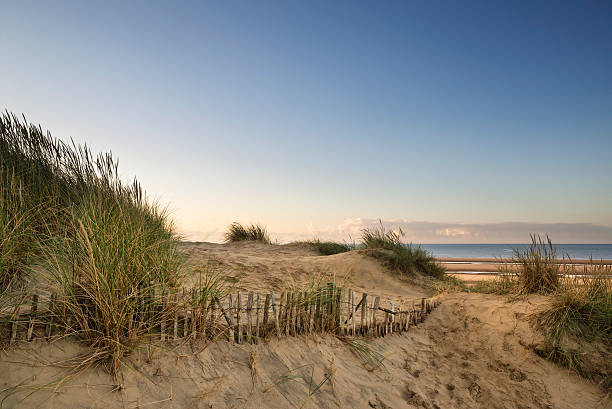 istock Beautiful sunrise over sand dunes system on yellow sand 493220748
