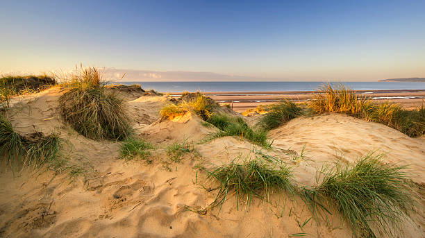 istock Beautiful sunrise over sand dunes system on yellow sand 493220798