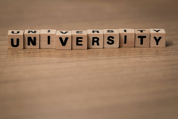 istock university in wooden cubes 493221412