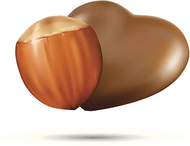 Vector illustration of hazelnut and chocolate