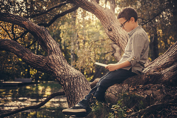 istock Cute boy reading a book in the park at sunset 493224716