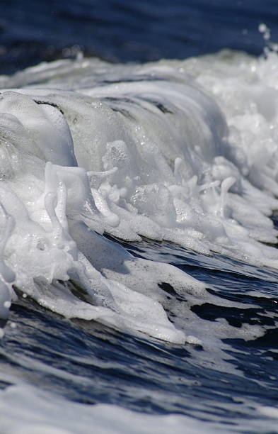 Sea Foam on a Wave stock photo