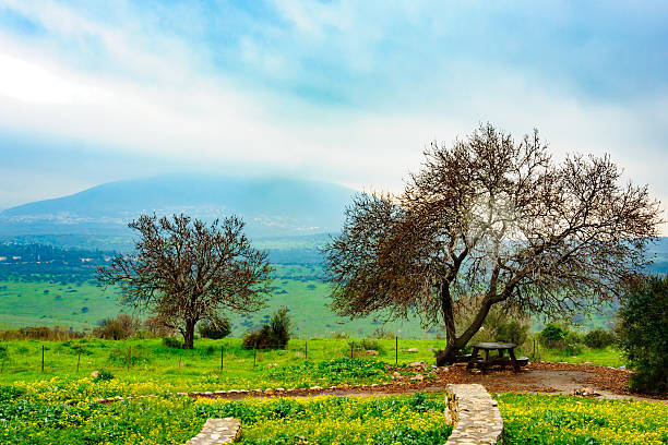 istock Landscape near Beit Keshet 493236512