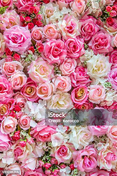 Soft Color Roses Background Stock Photo - Download Image Now - Rose - Flower, Flower, Pink Color