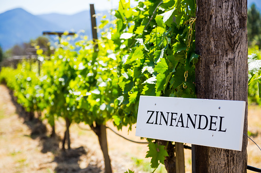 Zinfandel grapes are grown at this winery and vineyard in Southern Oregon.