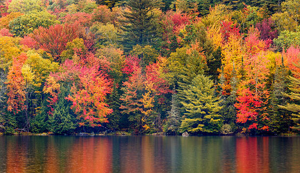 New England Autumn Foliage Autumn Foliage Reflecting in a New England Pond   green mountains appalachians photos stock pictures, royalty-free photos & images