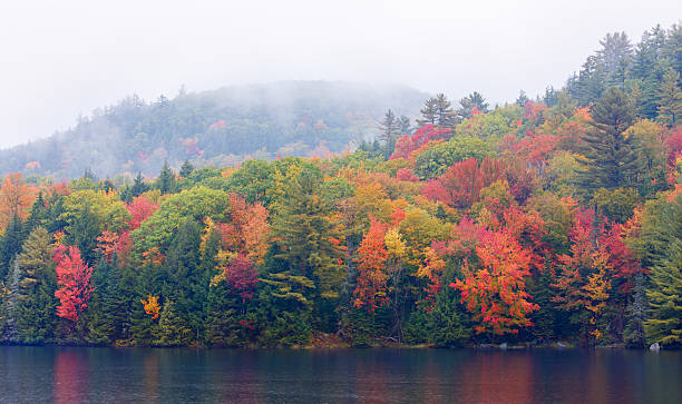 istock New England Autumn Foliage 493240868