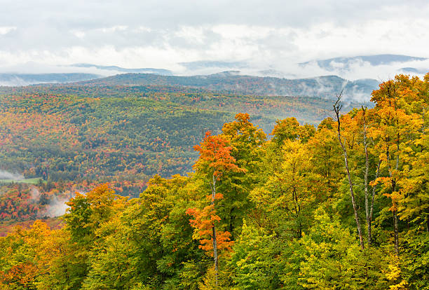 istock Misty New England Autumn 493240902