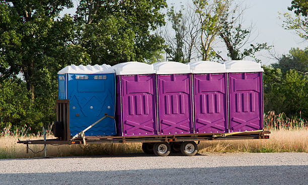 Blue and Purple Porta Pottys