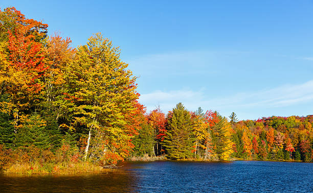 istock New England Pond with Autumn Foliage 493240974