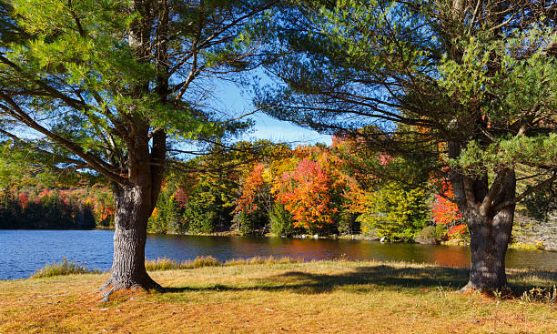 istock New England Pond with Autumn Foliage 493241048