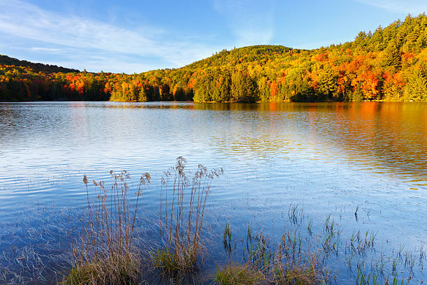 istock New England Pond with Autumn Foliage 493241122
