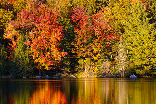 istock New England Pond with Autumn Foliage 493241146