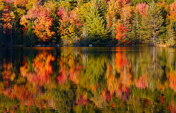 istock New England Pond with Autumn Foliage 493241156