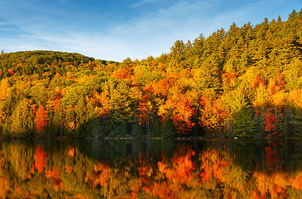 istock New England Pond with Autumn Foliage 493241176