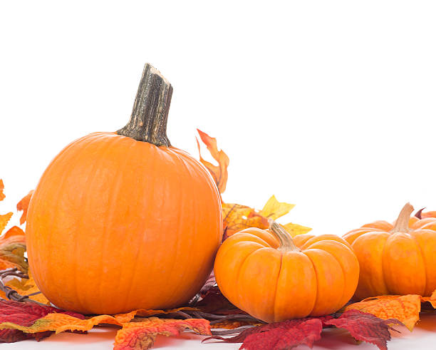 istock Autumn Pumpkins and Gourds 493241564