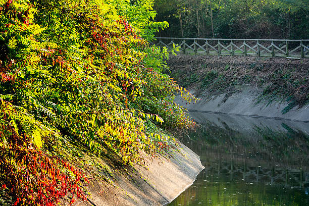 Canal Villoresi (Lombardy, Italy)