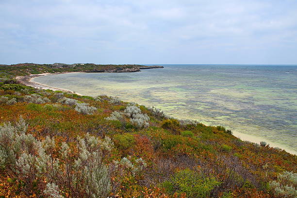 istock Western Australian coastline 493242308