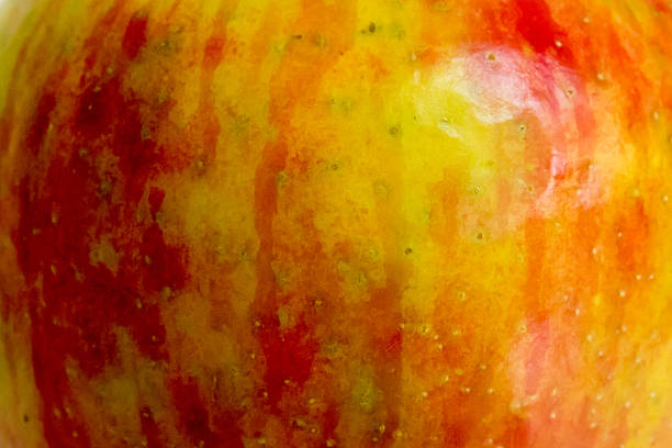 istock Full frame honeycrisp apple skin 493242498
