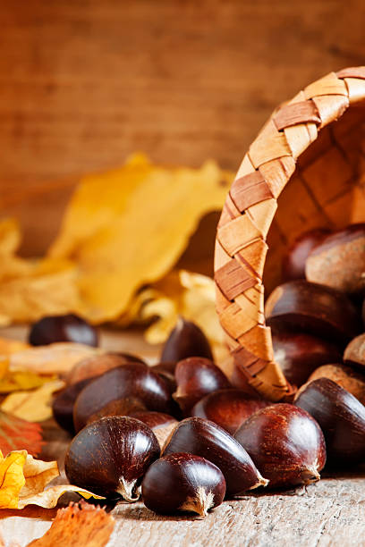 istock Fresh edible chestnuts spill out of a wicker basket 493242918