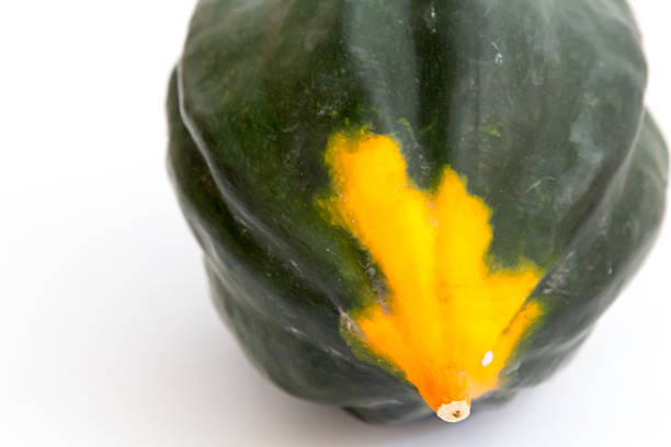Close up image of the pointy base of an acorn squash.  The fall vegetable is a green fourd that has an orange patch.   The squash is isolated on white background.