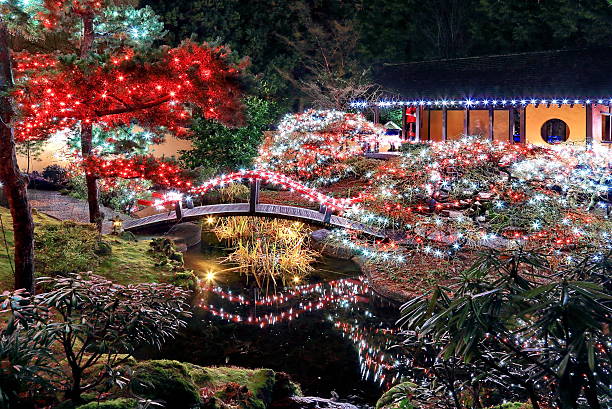 istock Christmas illuminations in the Park 493245478