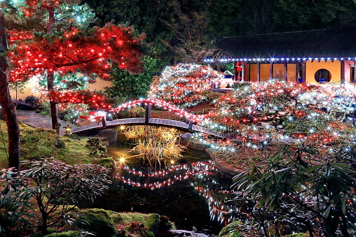 Christmas illuminations in  Tilford Gardens. North Vancouver. 