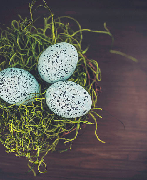 istock Moss nest with speckled bird's eggs. Easter arrangement. 493245582