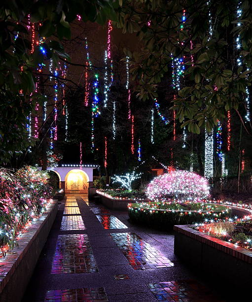 istock Christmas illuminations in the Park 493245734