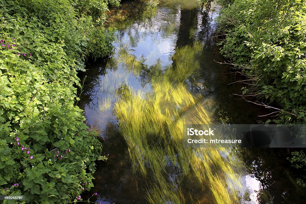 이미지 건강한 빠른 흐르는 강, 깨끗한 물과 pondweed - 로열티 프리 0명 스톡 사진