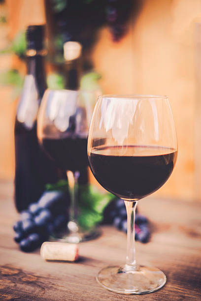 istock Red wine, grapes and wine bottles. Winetasting al fresco. 493245880