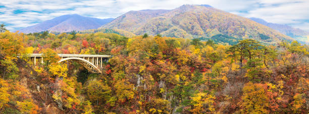 istock Autumn Colors of Oirase River 493246832