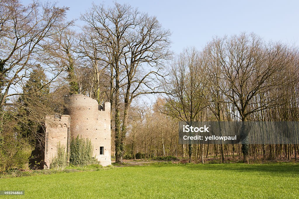 Rovine dell'antica Torre nella foresta - Foto stock royalty-free di Ambientazione esterna
