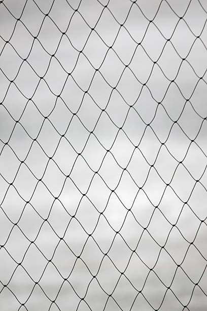 istock Tracery of netting. 493247125