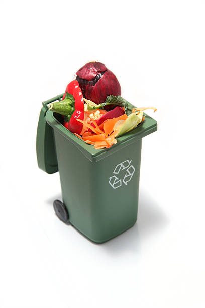 istock Recycling bin with vegetable scraps inside to turn to composte. 493247379
