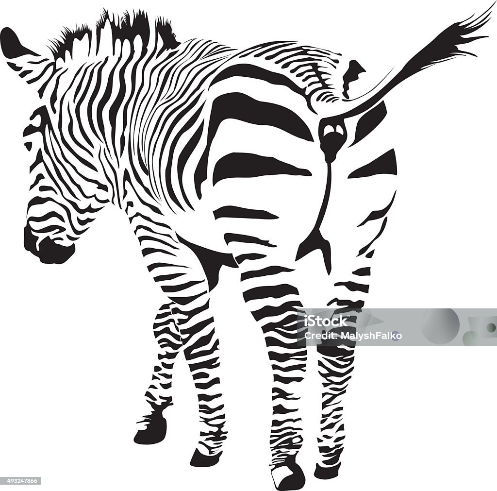 Cebra Vector Zebra Stock Illustration - Download Image Now - 2015, Abstract, Africa ...
