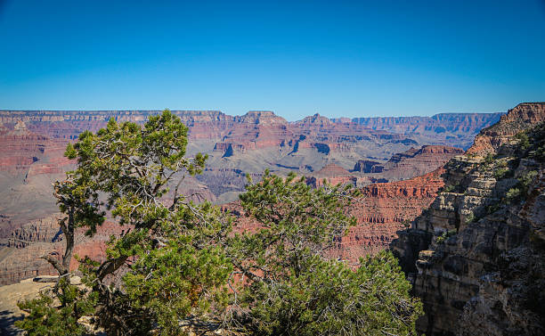 istock South Rim Grand Canyon 493248502