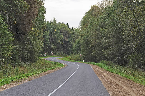 istock Winding asphalt road in the forest 493249005