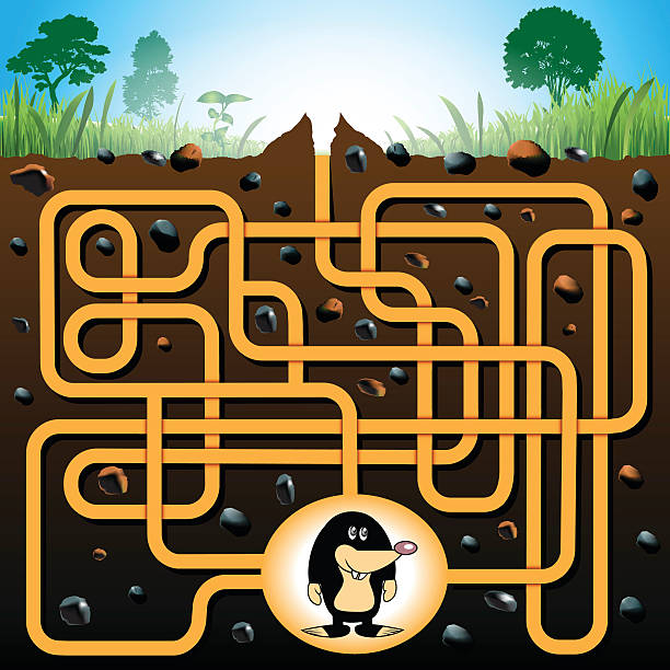 mole und molehill labyrinth spiel - maulwurf baby stock-grafiken, -clipart, -cartoons und -symbole
