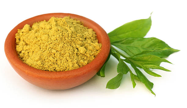 istock Henna leaves with sandalwood powder 493250225