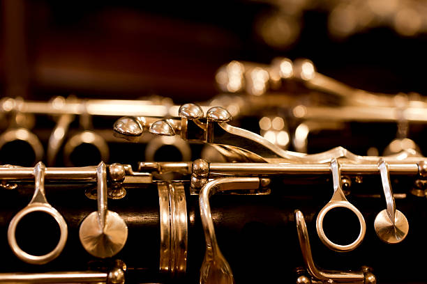 istock Fragment of the clarinet 493250812