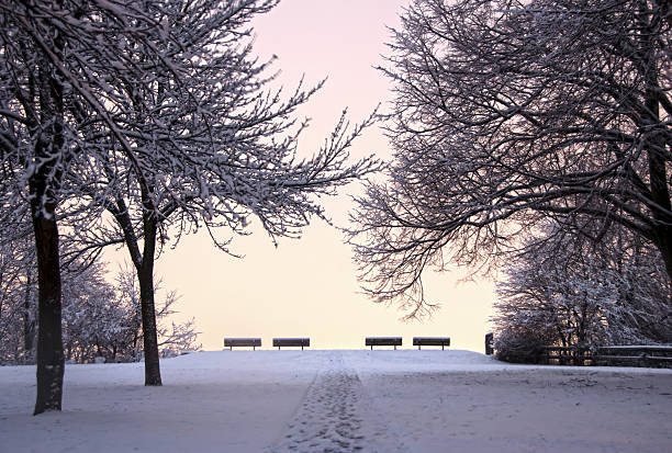 Park benches in a quiet park during snowstorm in winter